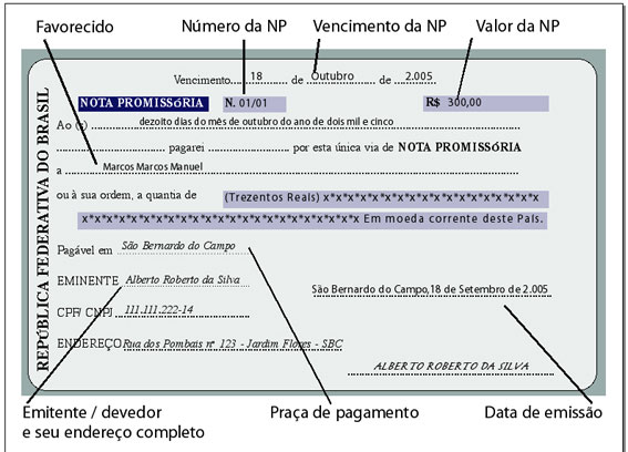 Entenda o que é nota promissória pro soluto e pro solvendo - Blueprint